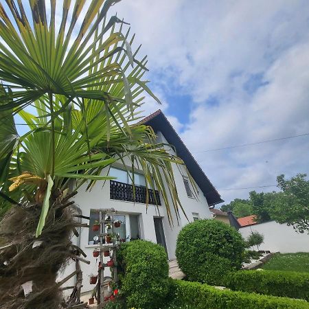 Vila Jovana เวิร์ดนิค ภายนอก รูปภาพ