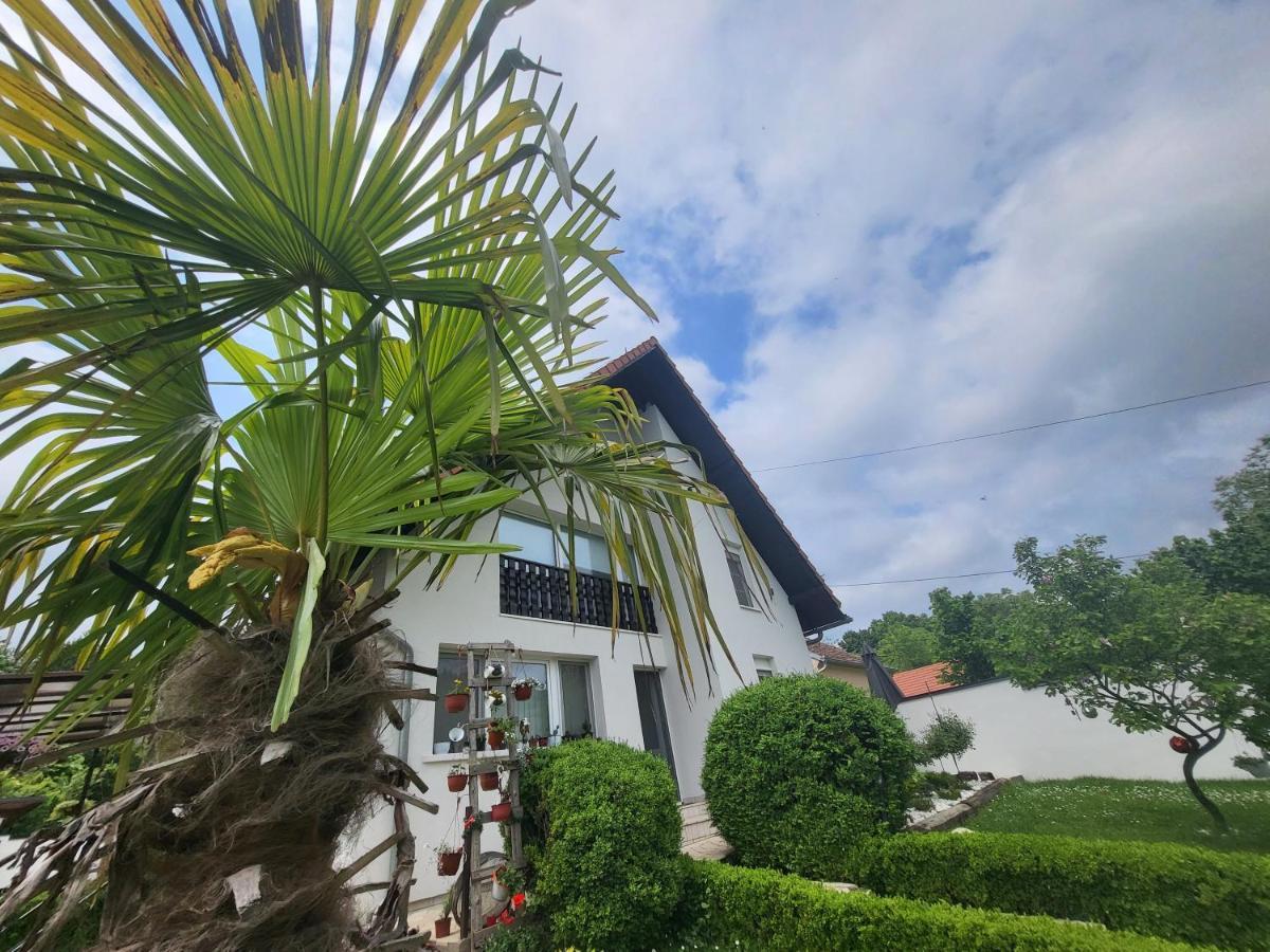 Vila Jovana เวิร์ดนิค ภายนอก รูปภาพ