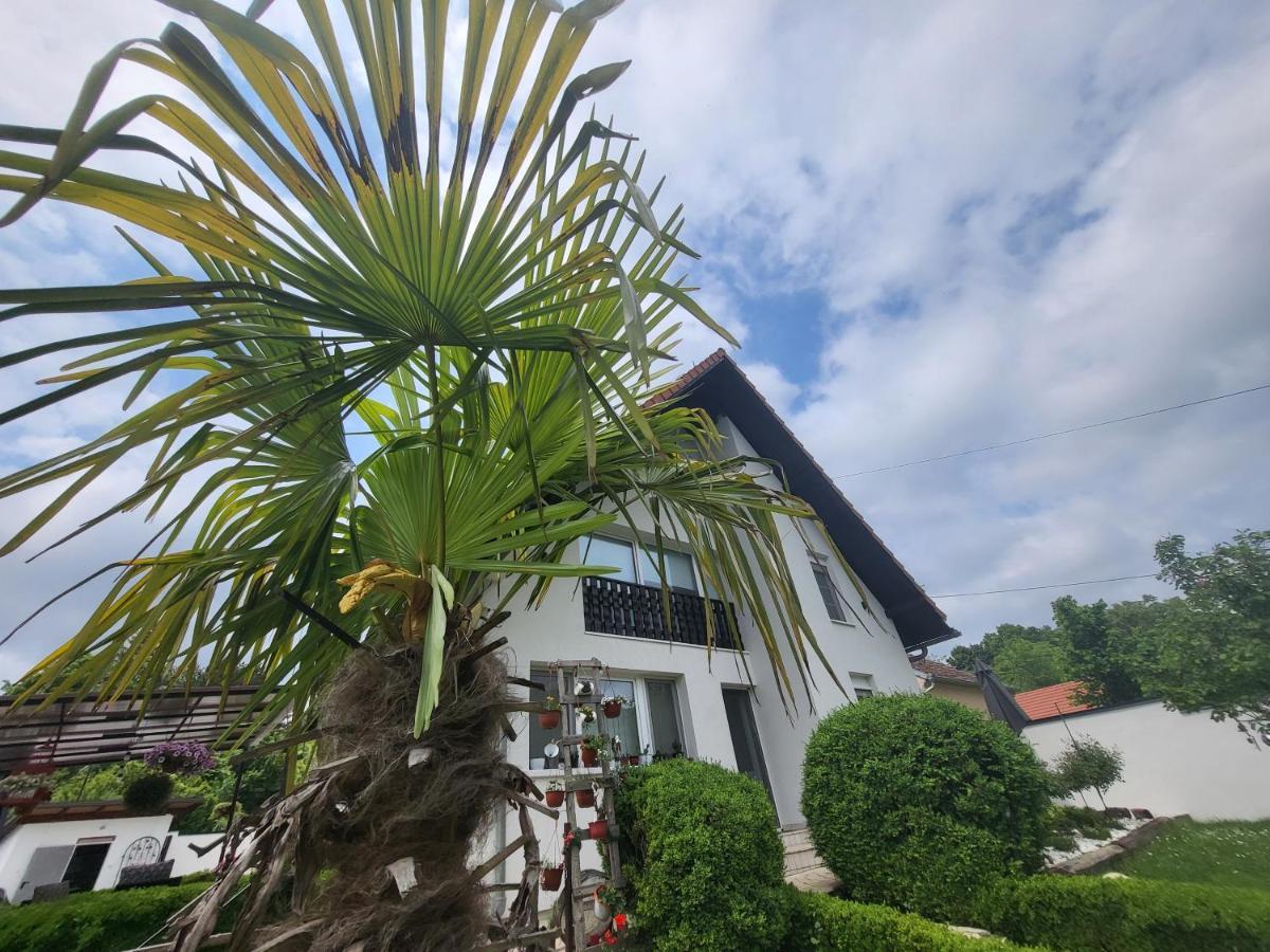 Vila Jovana เวิร์ดนิค ภายนอก รูปภาพ