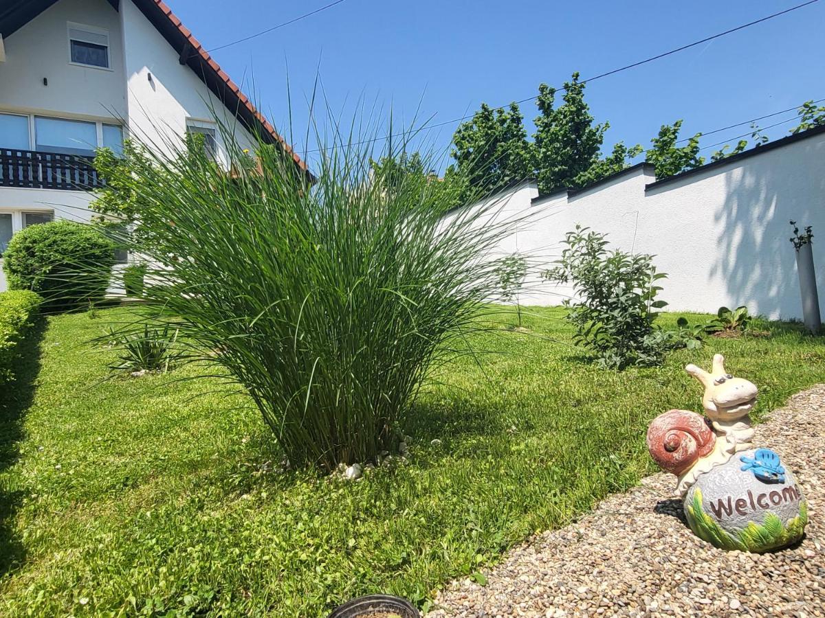 Vila Jovana เวิร์ดนิค ภายนอก รูปภาพ