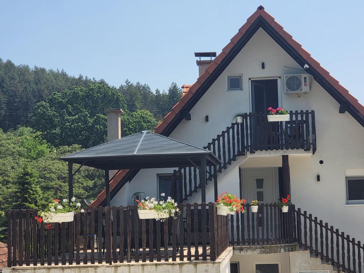 Vila Jovana เวิร์ดนิค ภายนอก รูปภาพ