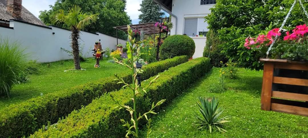 Vila Jovana เวิร์ดนิค ภายนอก รูปภาพ