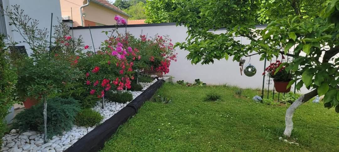 Vila Jovana เวิร์ดนิค ภายนอก รูปภาพ