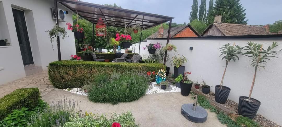 Vila Jovana เวิร์ดนิค ภายนอก รูปภาพ